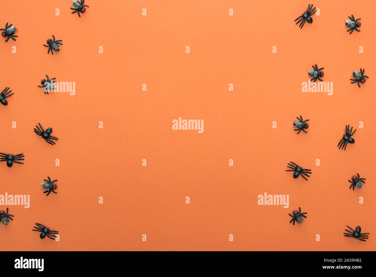 top view of scary spiders on orange background with copy space Stock ...