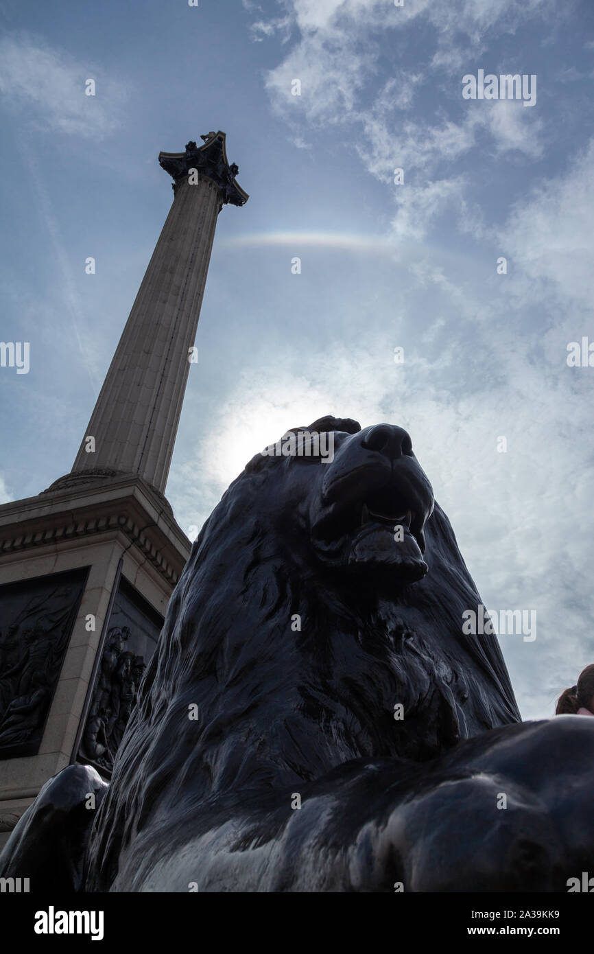 Bronze lion trafalgar square london hi-res stock photography and images ...