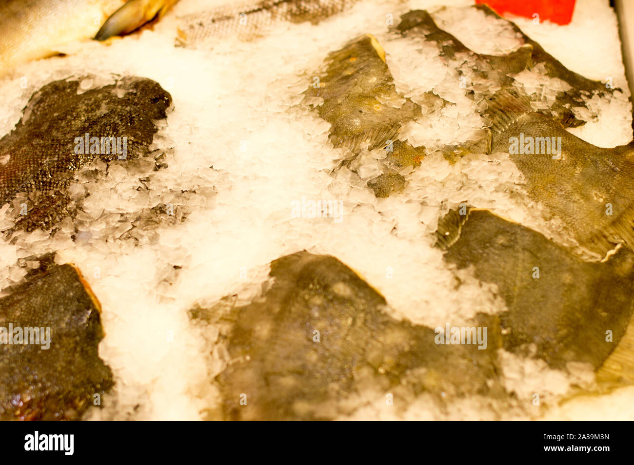 Flounder fish, in ice on a supermarket counter, ready for sale. Close