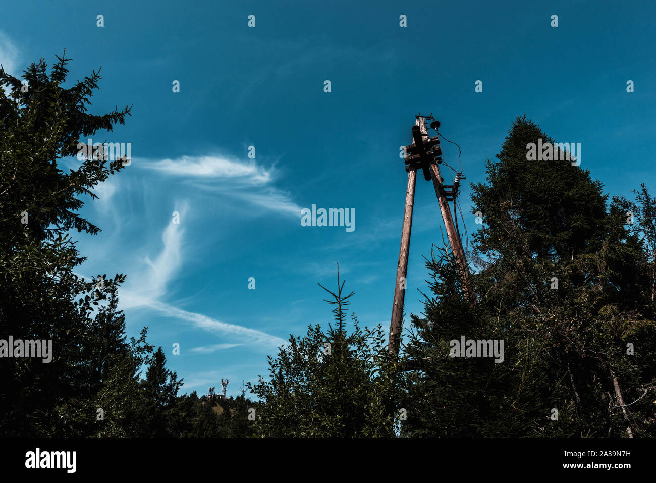 low angle view of trees against blue sky with clouds in park Stock ...