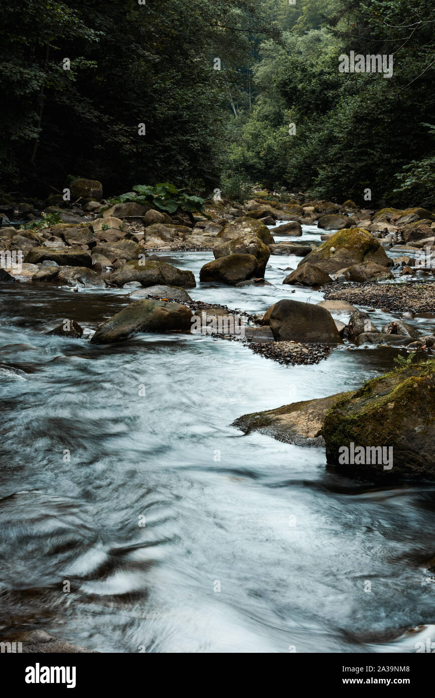 wet rocks near flowing brook and green trees in woods Stock Photo