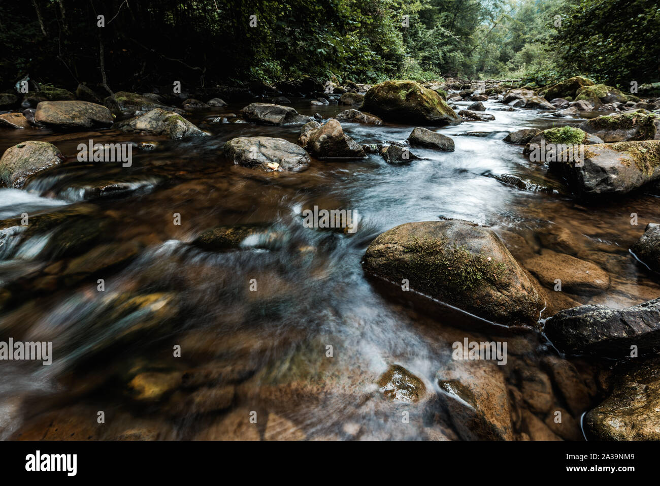selective focus of flowing stream near wet rocks with green mold Stock Photo