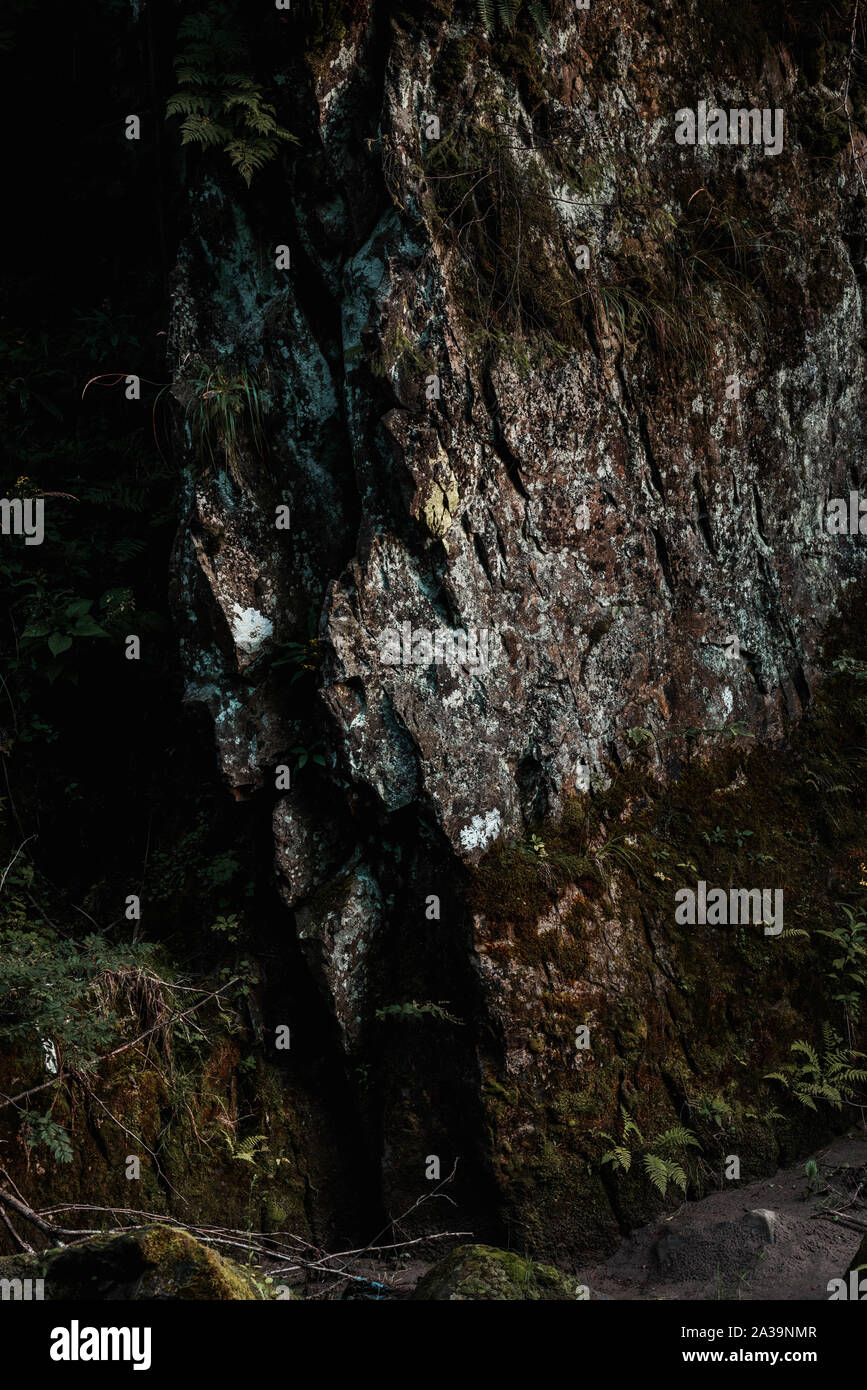 Mold of plants hires stock photography and images Alamy