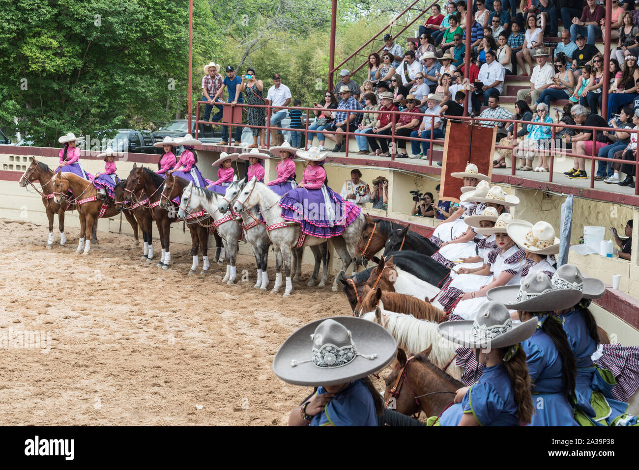Scene from a Mexican-style rodeo, or Charreria, at A Day in Old Mexico ...