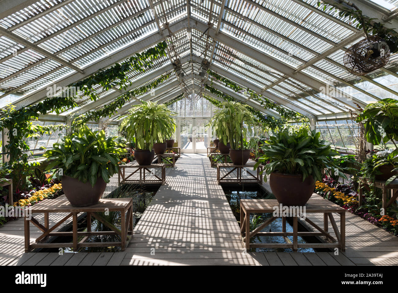 Scene From The 252 Acre Shangri La Botanical Center And Nature
