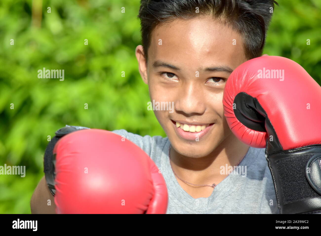 Fit Male Boxer Smiling Wearing Boxing Gloves Stock Photo