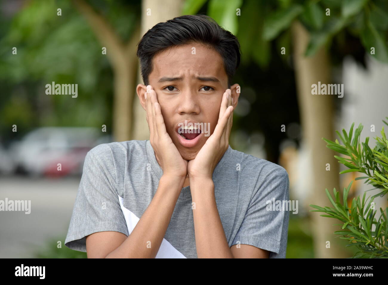 An A Shocked Male Juvenile Stock Photo