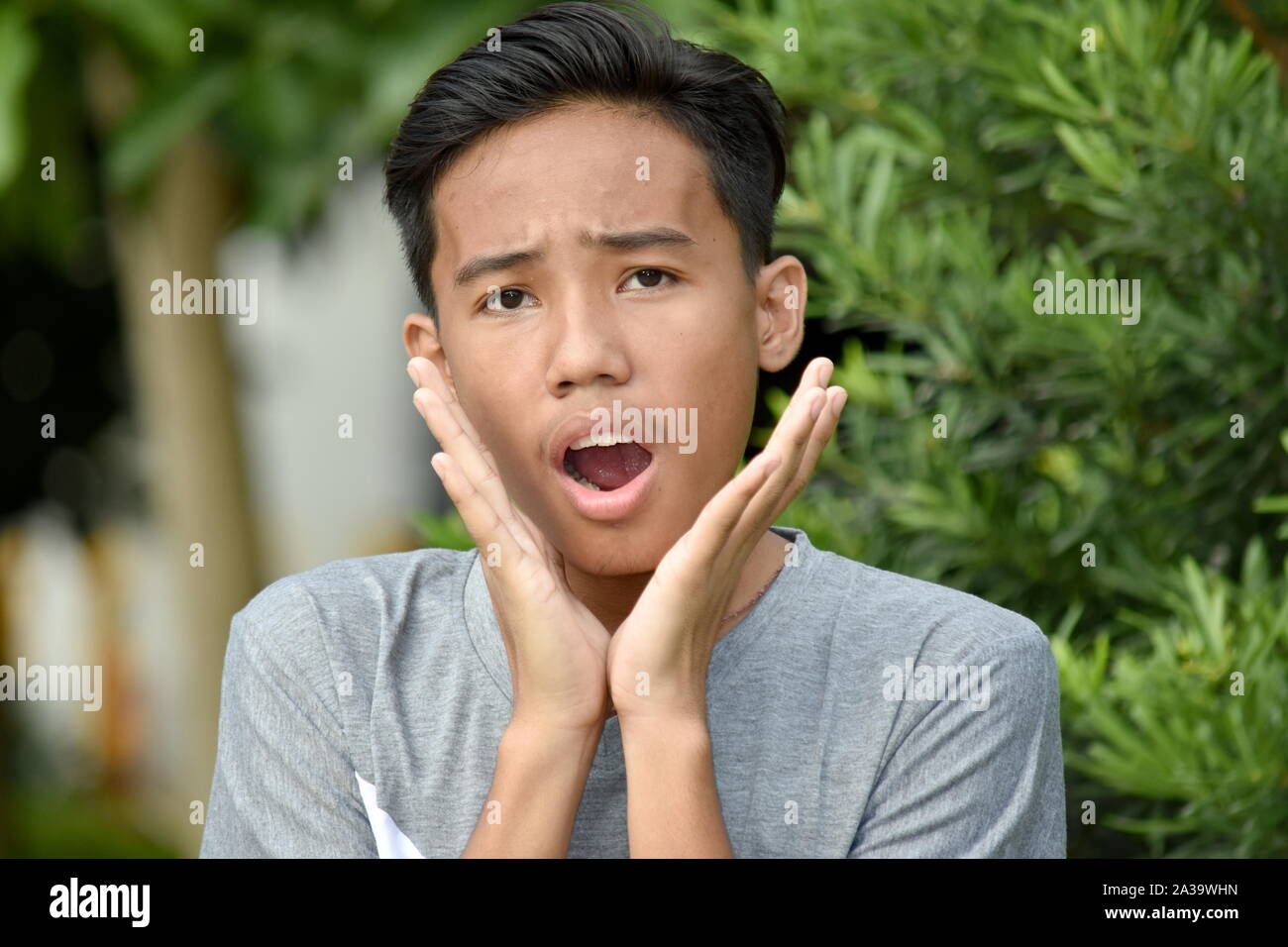 An A Startled Male Juvenile Stock Photo Alamy