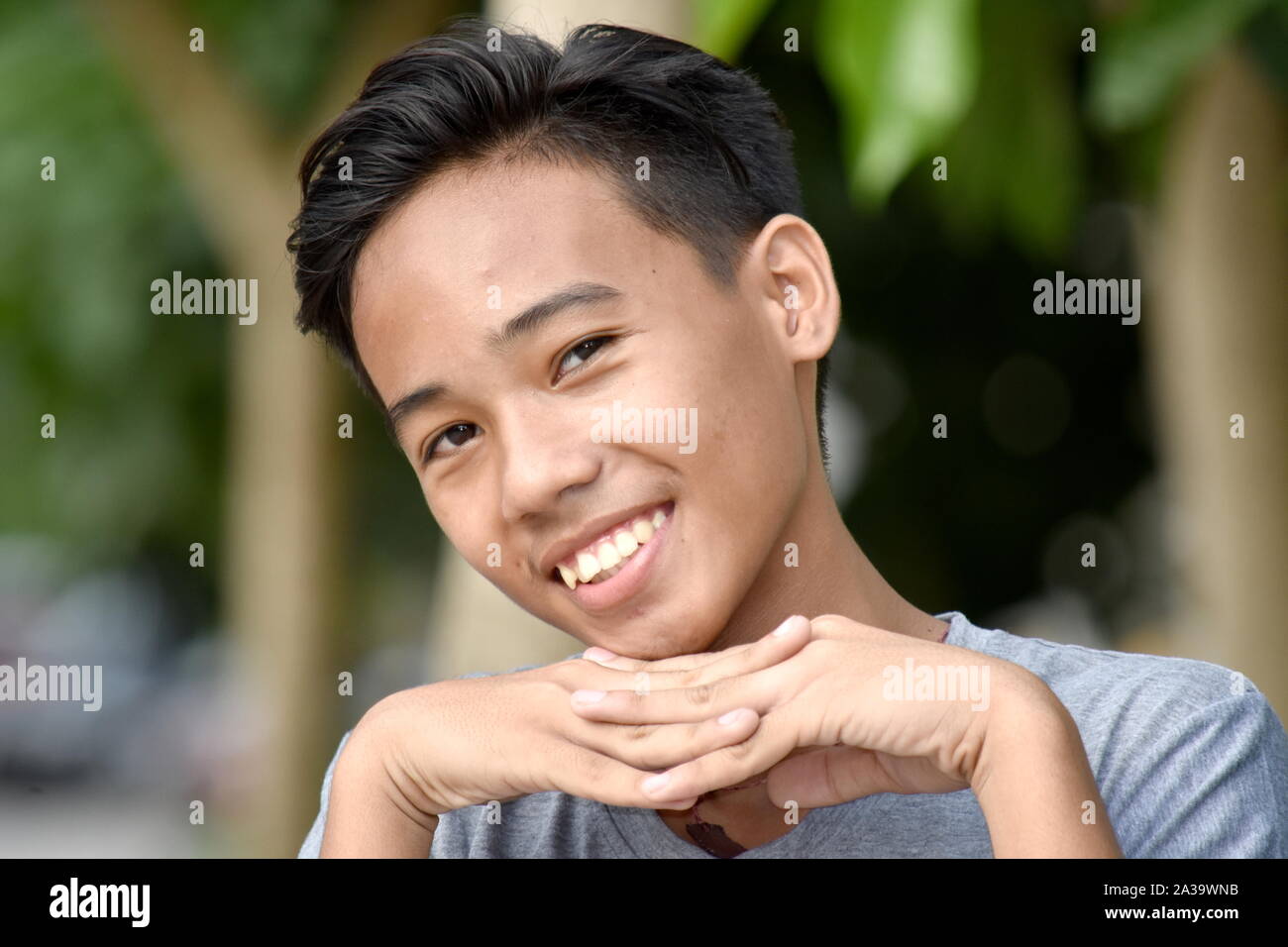 An An Attractive Male Youngster Stock Photo