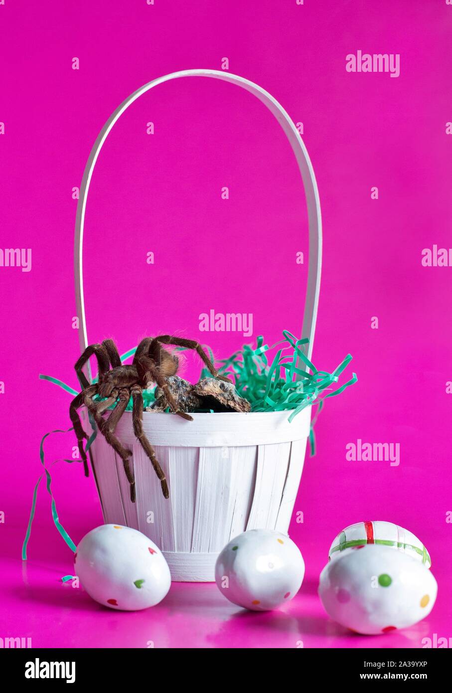 Ugly Easter Bunny collect eggs. Monster bunny with tentacles from their  backs. Easter eggs in the basket Stock Photo - Alamy