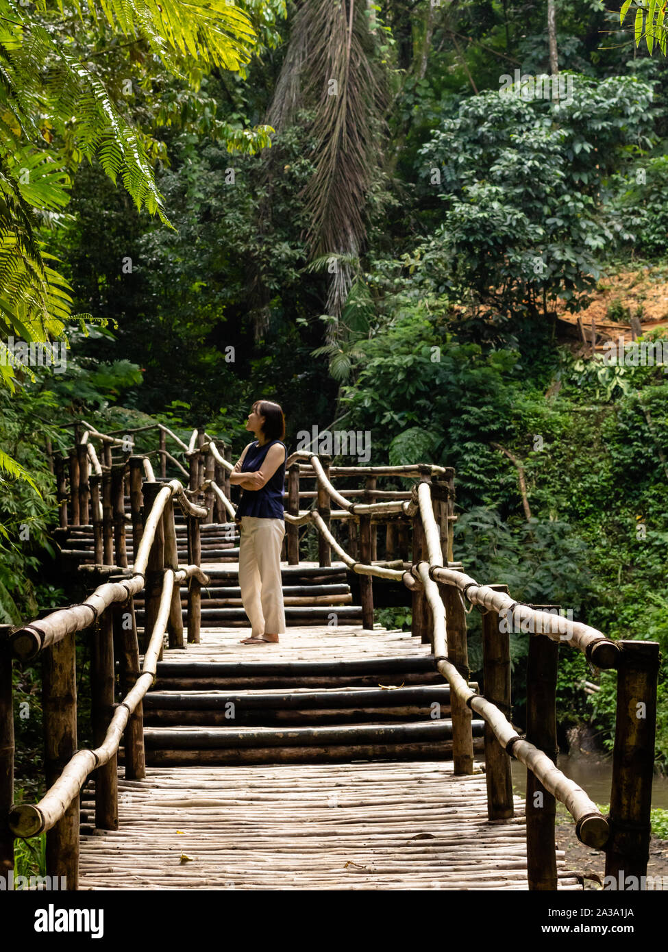 Young fashionable woman on a bamboo bridge Stock Photo