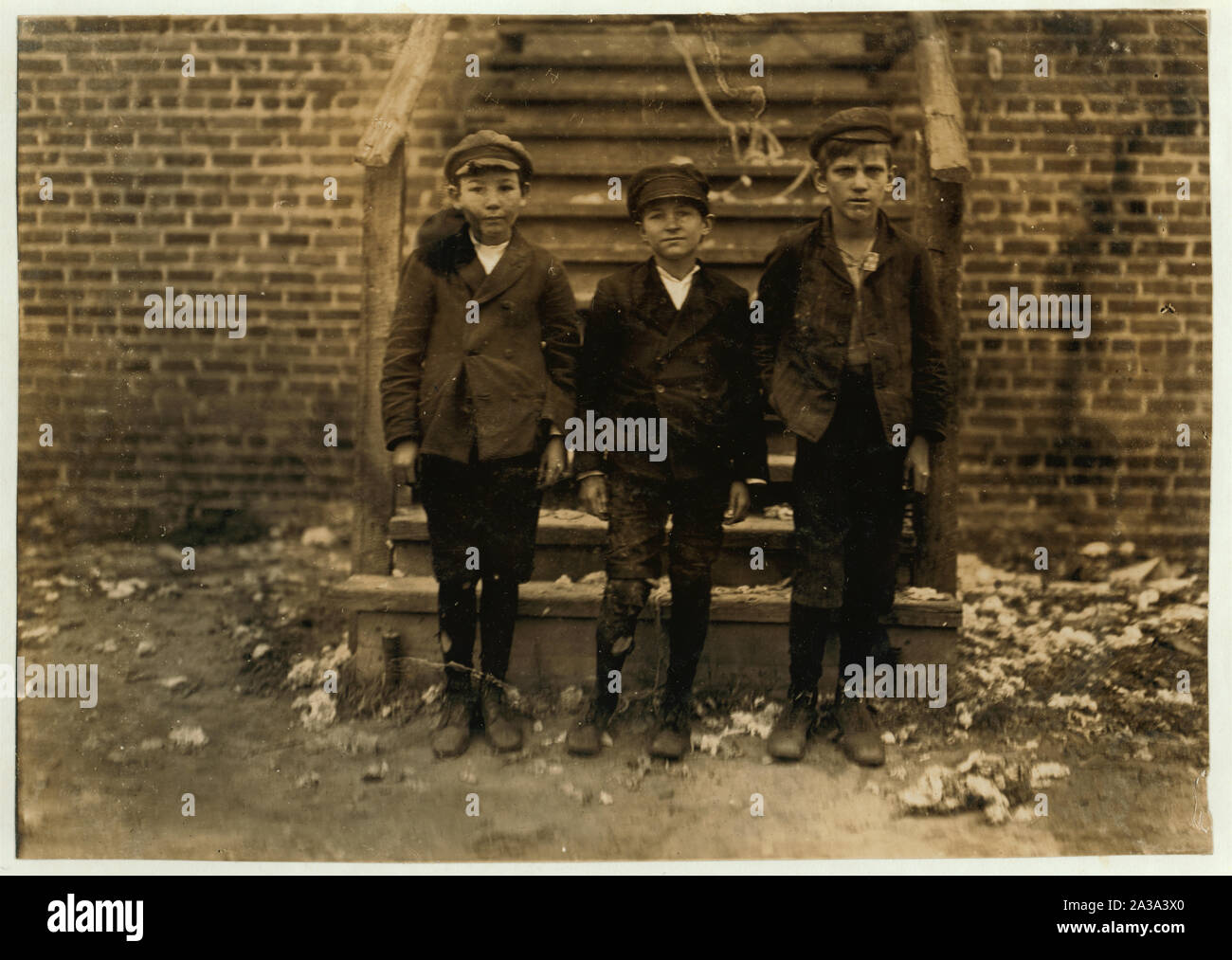 Scotland Mills, Laurinburg, N.C. Henry Mims (tallest) about 14. 8 years in mill. 6 years at night. Launey Knight (next)--Begin. John Stedman--3 years in the above mill. Witness, S.R. Hine. Stock Photo