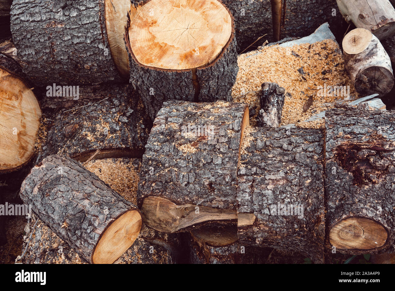 Pile of Logs In The Countryside Stock Photo