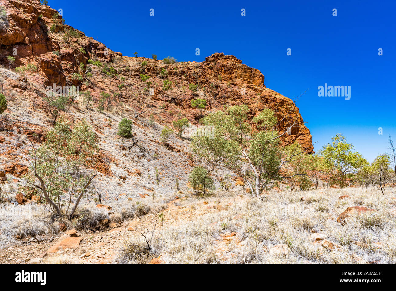 N'Dhala Gorge in the East MacDonnell Ranges in the Northern Territory, Australia. Stock Photo