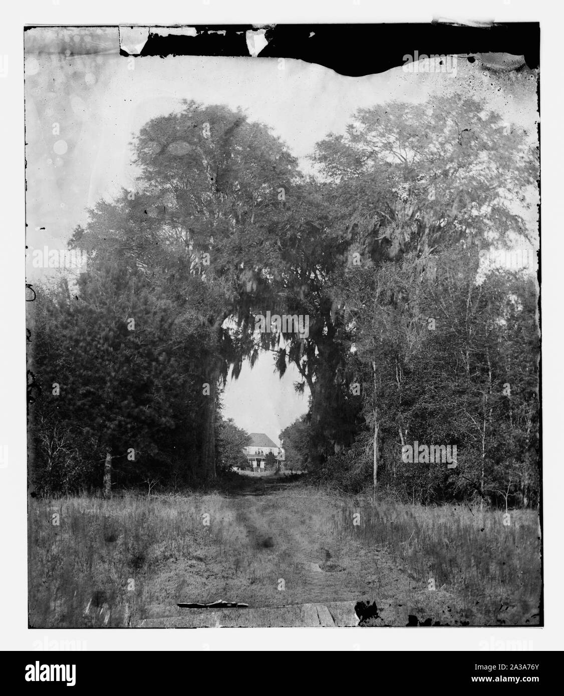 Seabrook Black and White Stock Photos & Images Alamy