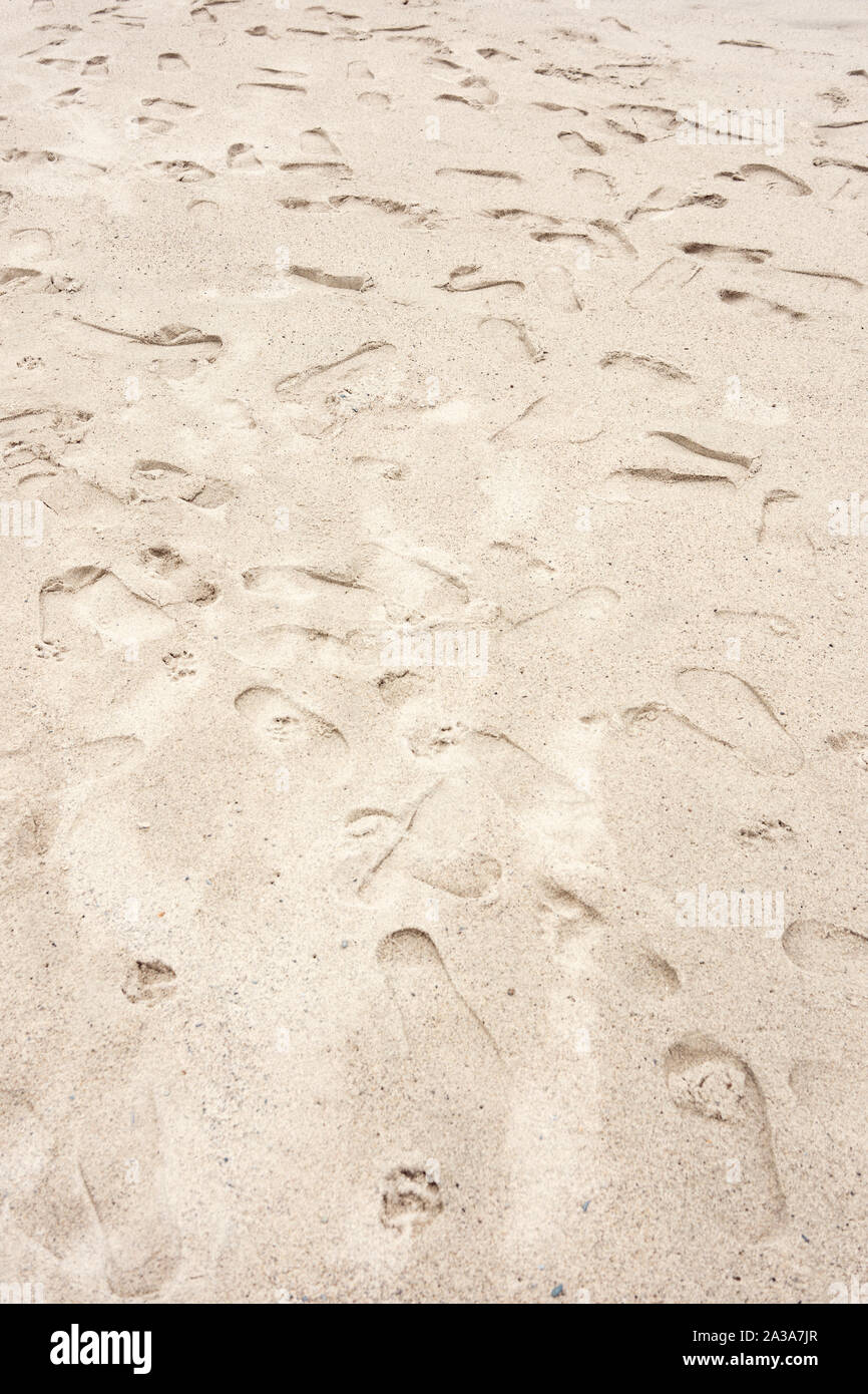 Foot prints on the shore sand Stock Photo