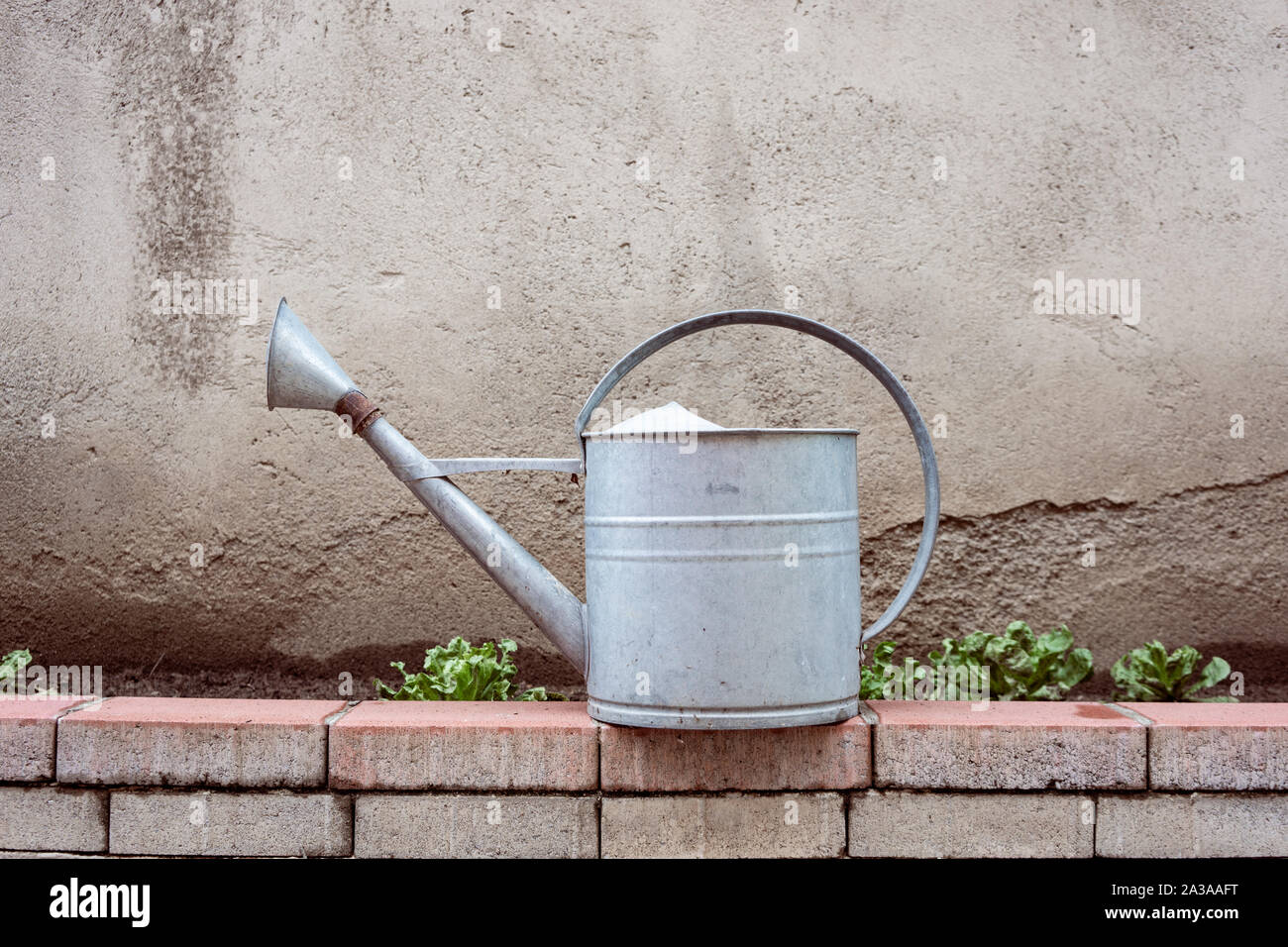 Grey Metal Watering Can in a garden Stock Photo
