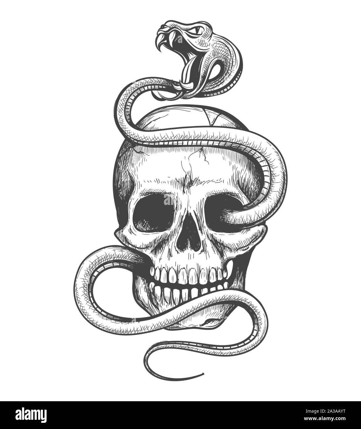 Skull and snake drawing Stock Vector