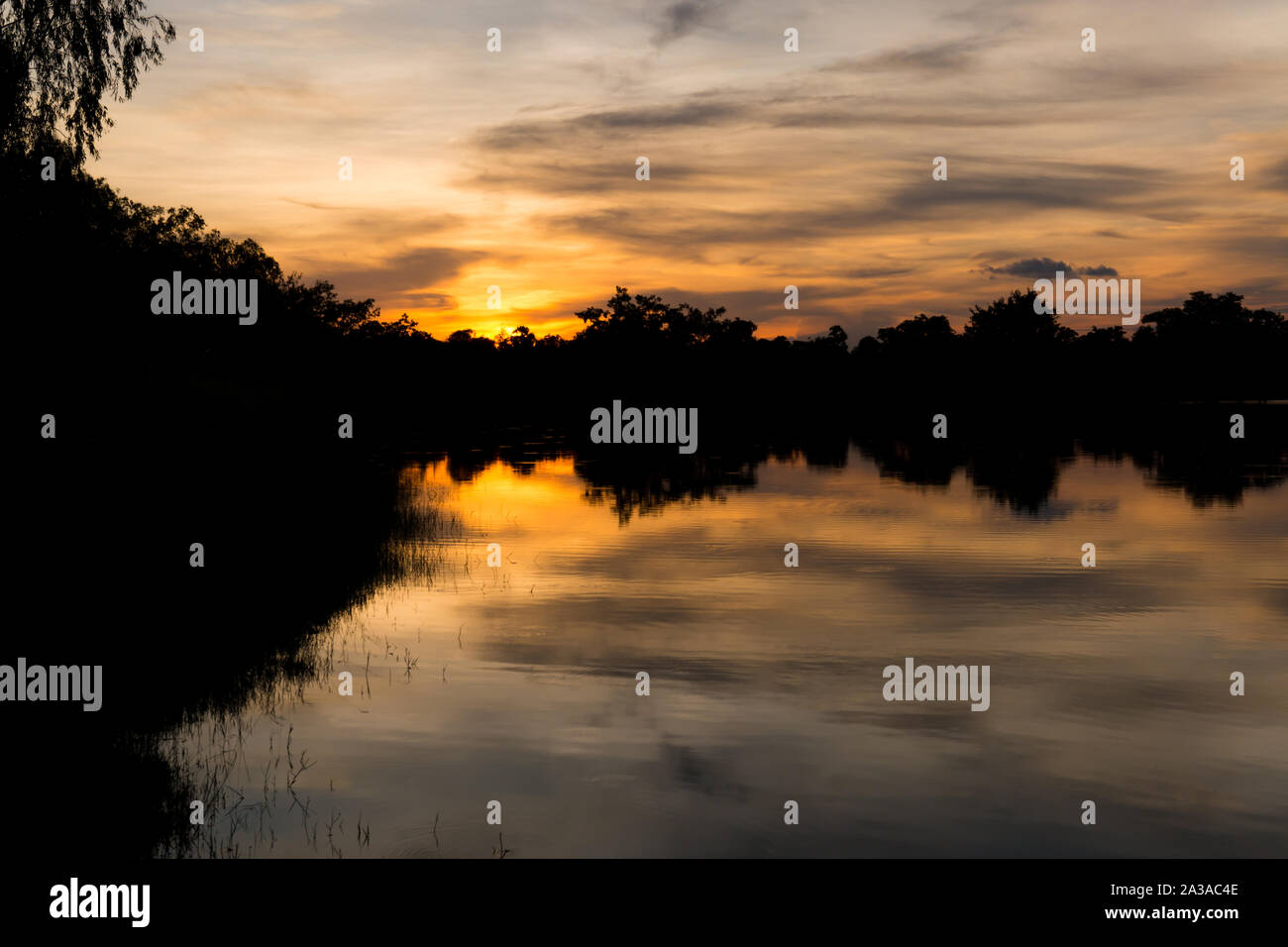 Silhouette of a trees at the lake in sunset time with beautiful ...