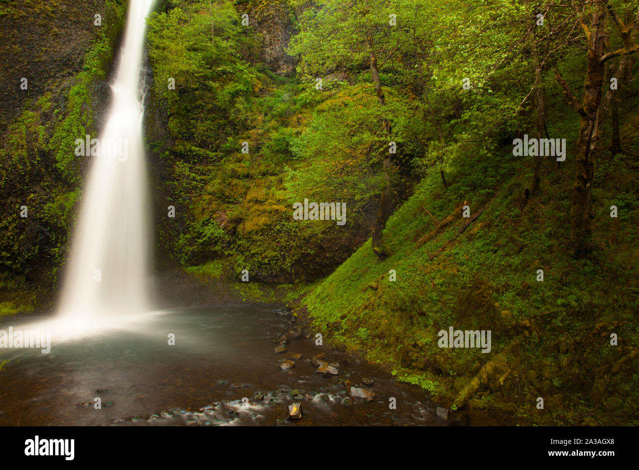 Horsetail Falls, Columbia River Gorge, Oregon, USA Stock Photo - Alamy