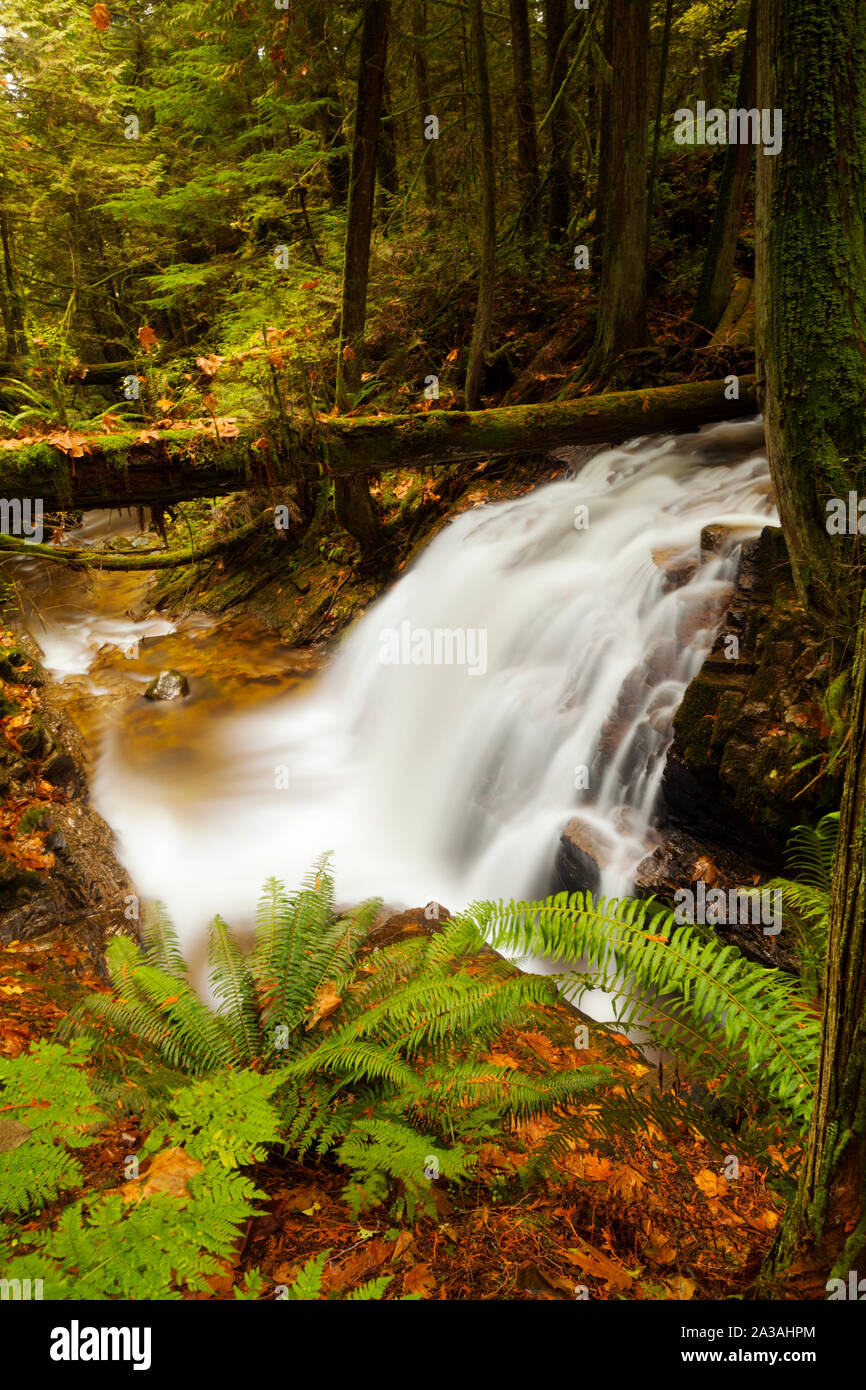 Roberts creek hires stock photography and images Alamy