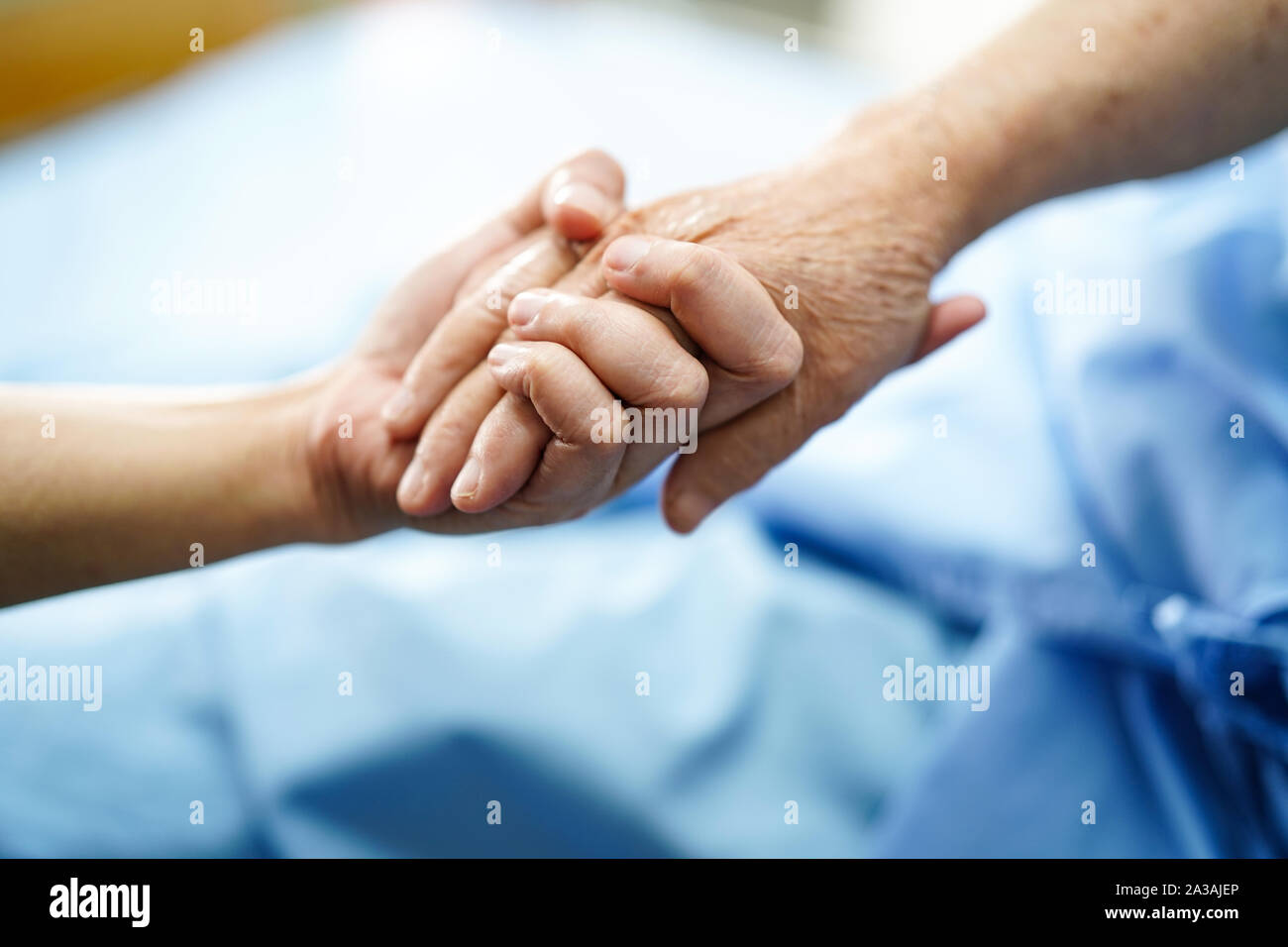Holding Touching hands Asian senior or elderly old lady woman patient with love, care, helping, encourage and empathy at nursing hospital ward : healt Stock Photo