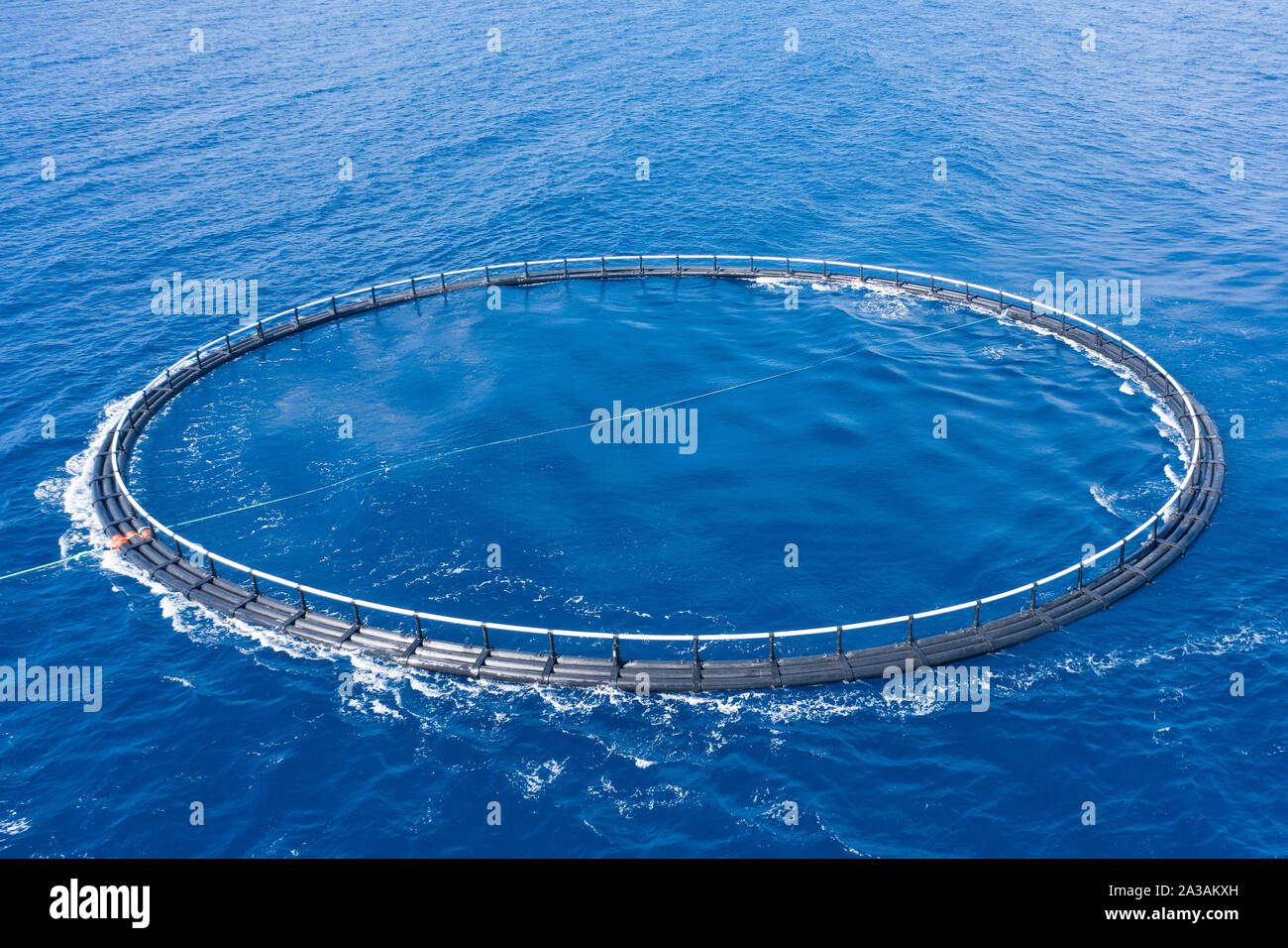 Aerial view close up, fish farm with floating cages in sea Stock