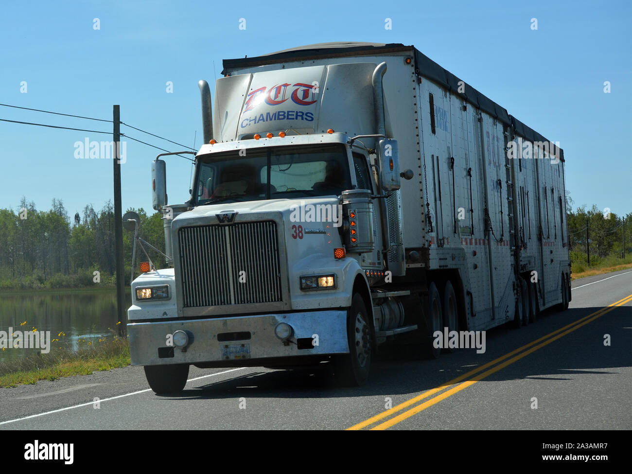 White Cargo Truck Stock Photo