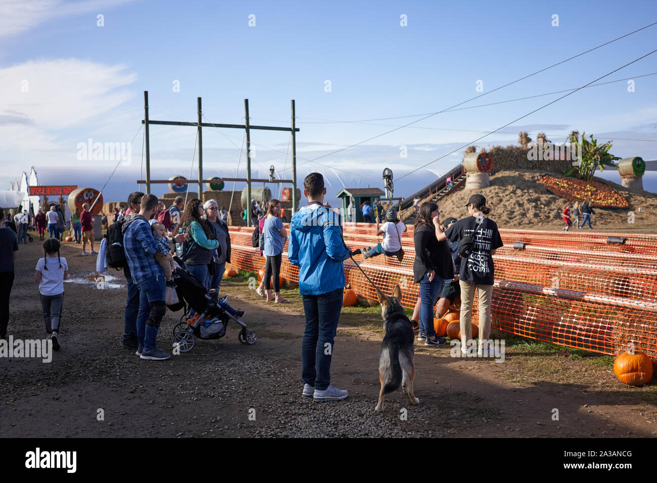 Pumpkin patch and autumn harvest festival scene in Bauman's Farm in Gervais, Oregon, seen on Saturday, Oct 5, 2019. Stock Photo