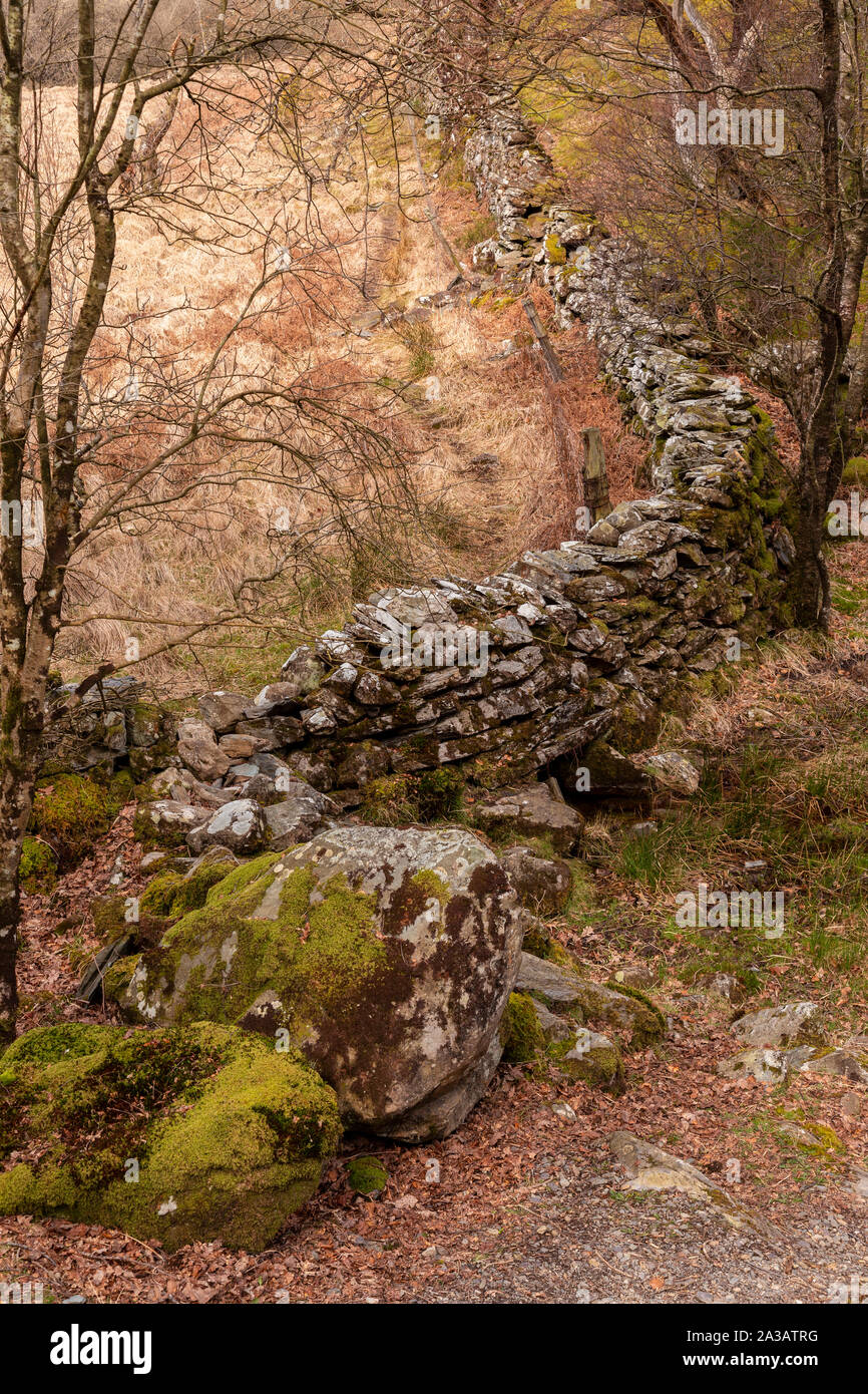 Old drystone wall at Capel Curig, Snowdonia, North Wales Stock Photo