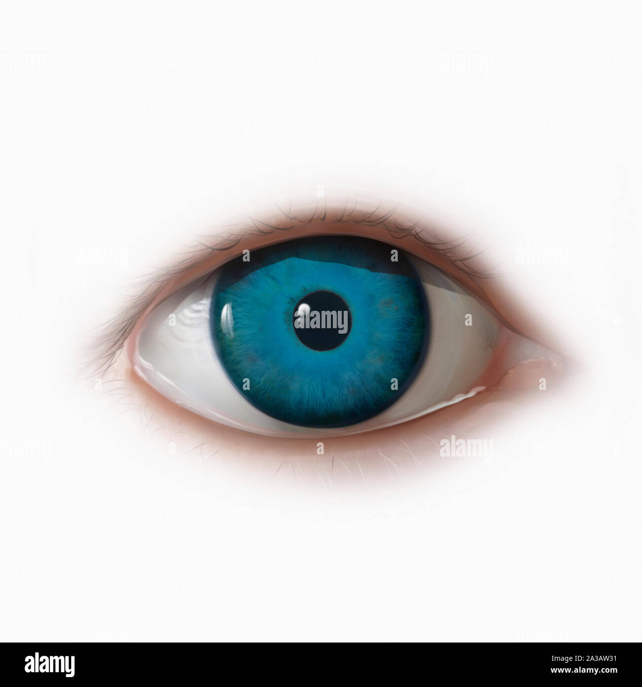 Close up of blue eye Stock Photo