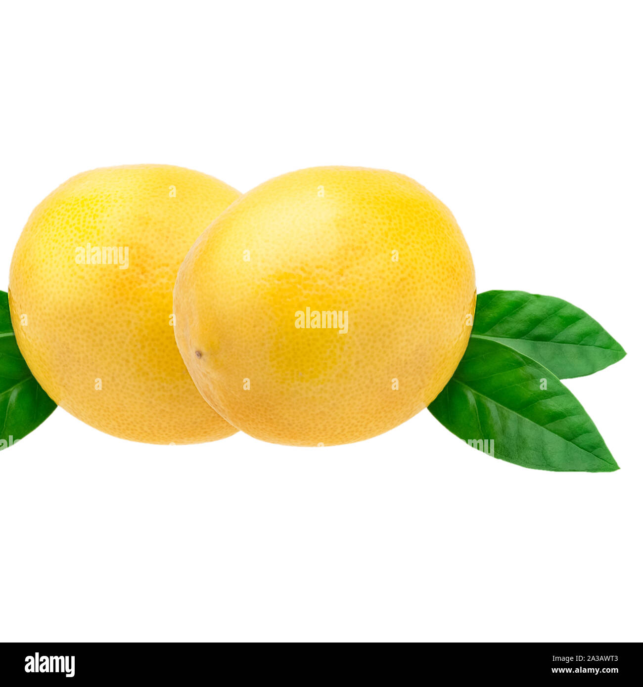 Creative layout made of lemon and leaves. Flat lay. Food concept. Lemon on white background Stock Photo