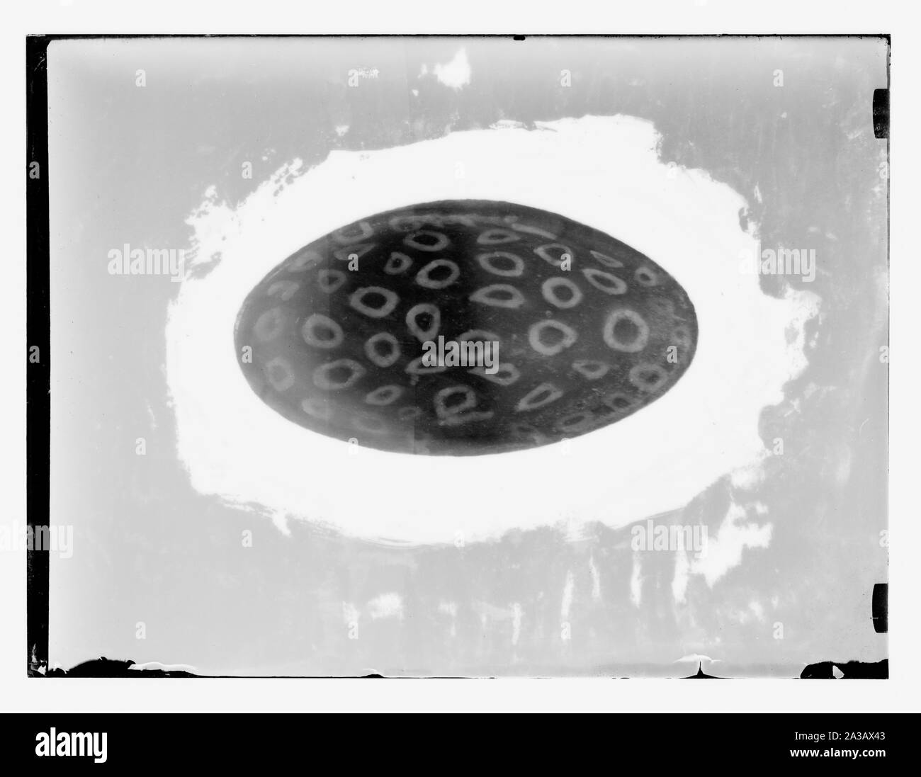 Projectile Shell Scan Incendiary projectile Cut Out Stock Images & Pictures - Alamy