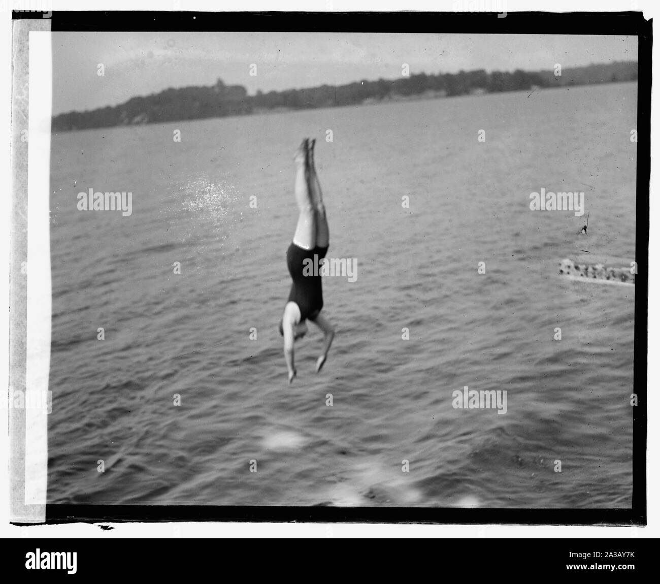 Sherwood Farms [i.e., Forest], diving Stock Photo