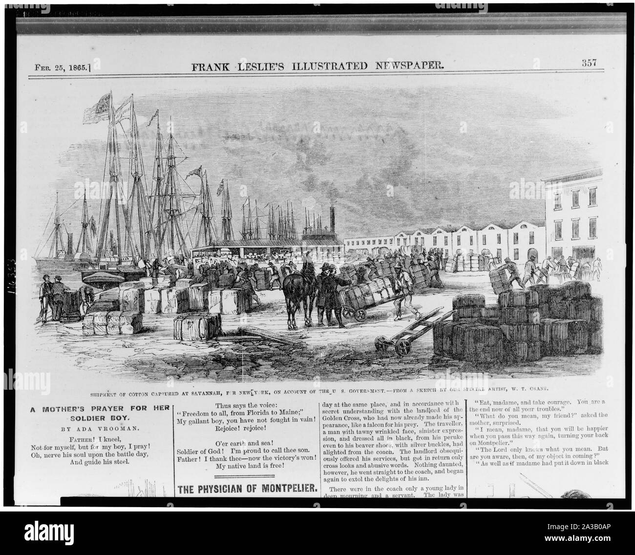 Shipment of cotton at Savannah, for New York, on account of the U.S. Government / from a sketch by our special artist, W.T. Crane. Stock Photo
