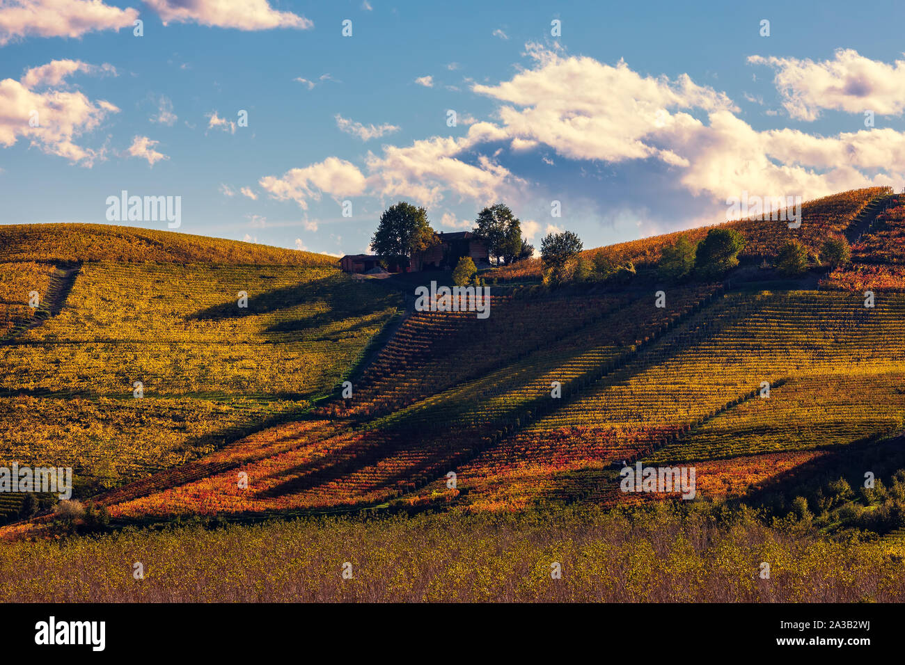 Rural house and colorful autumnal vineyards on the hill in Piedmont, Northern Italy. Stock Photo