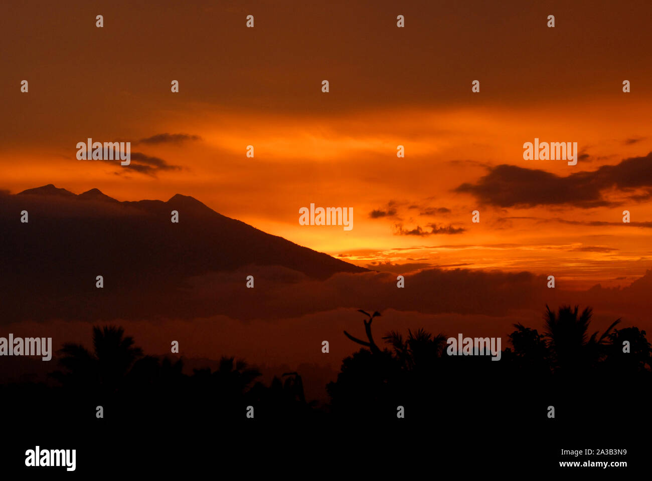 Java stock image hi-res stock photography and images - Alamy