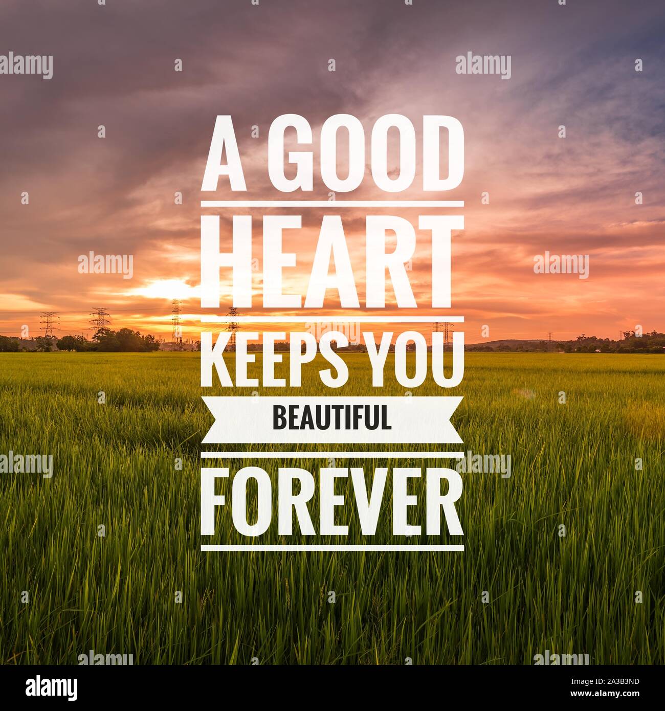 Motivational and inspirational quote - A good heart keeps you ...