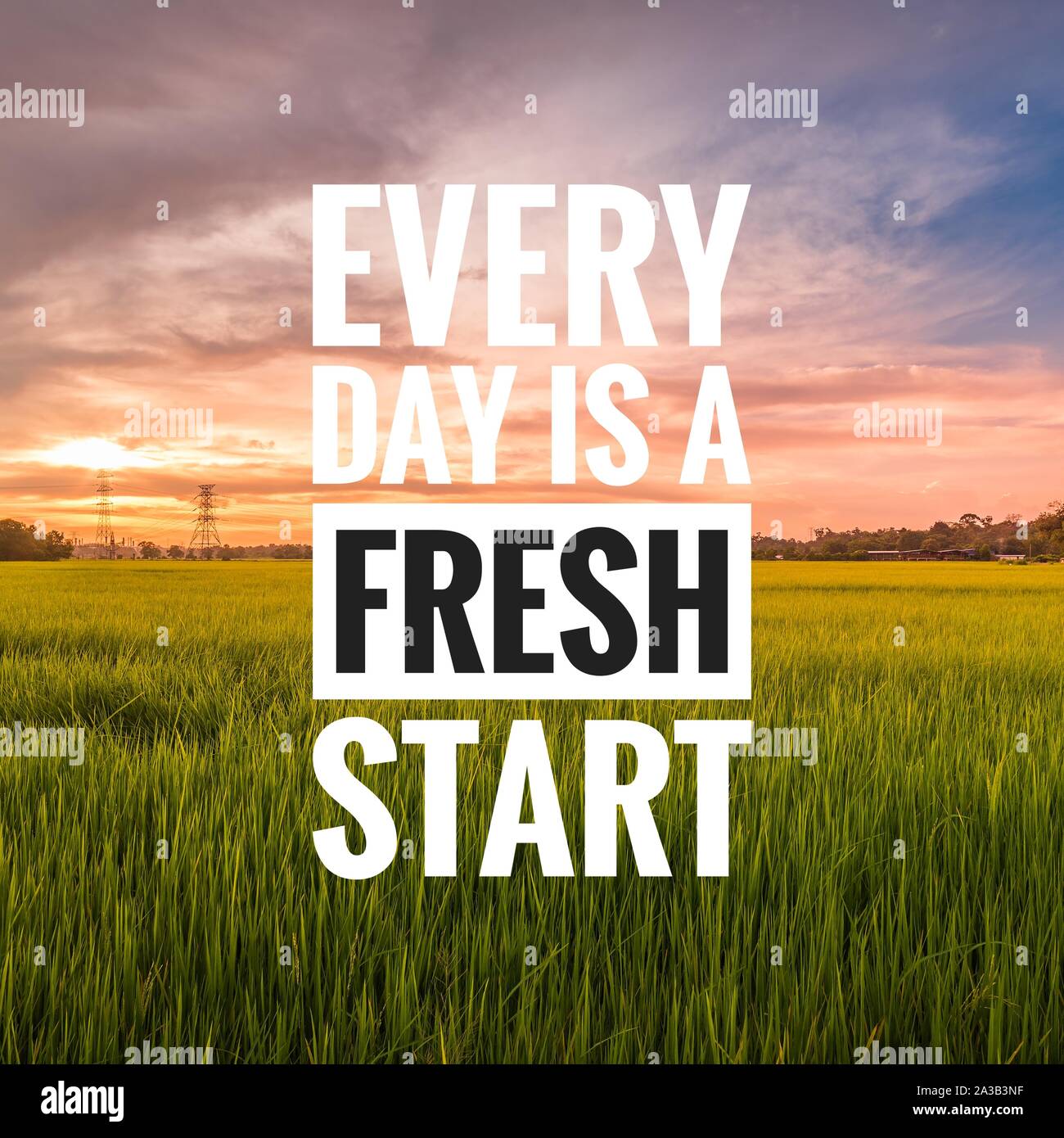 Motivational and inspirational quote - Every day is a fresh start. Stock Photo