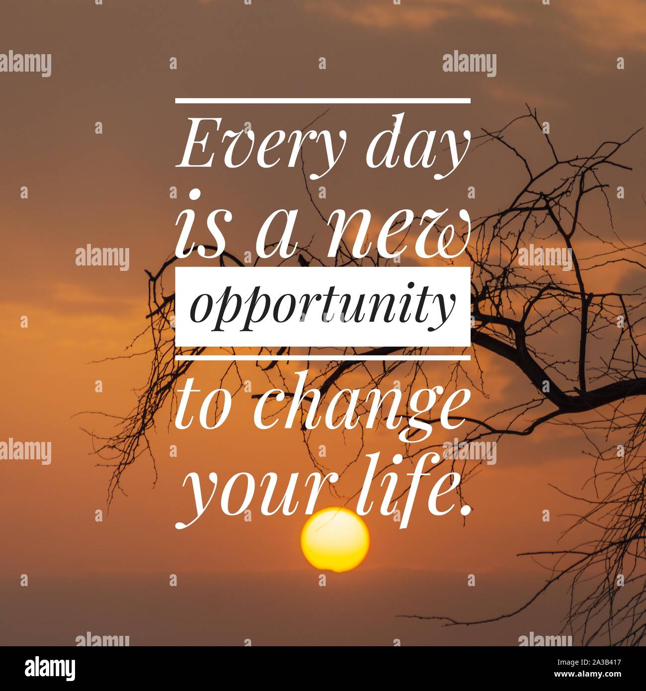 My Image 10