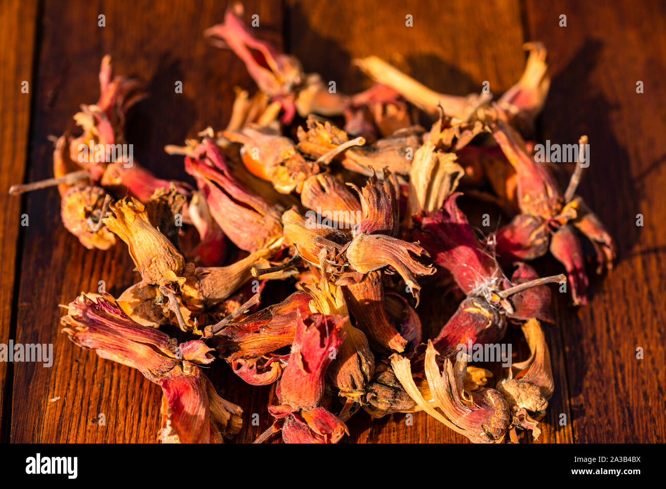 Red hazelnuts on a wooden board. Isolated hazelnuts. Stock Photo