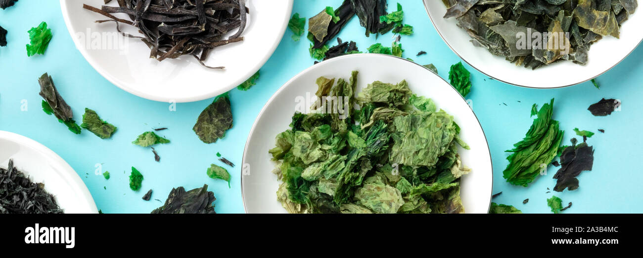 A panorama of dried seaweed, sea vegetables, shot from above on a blue background Stock Photo