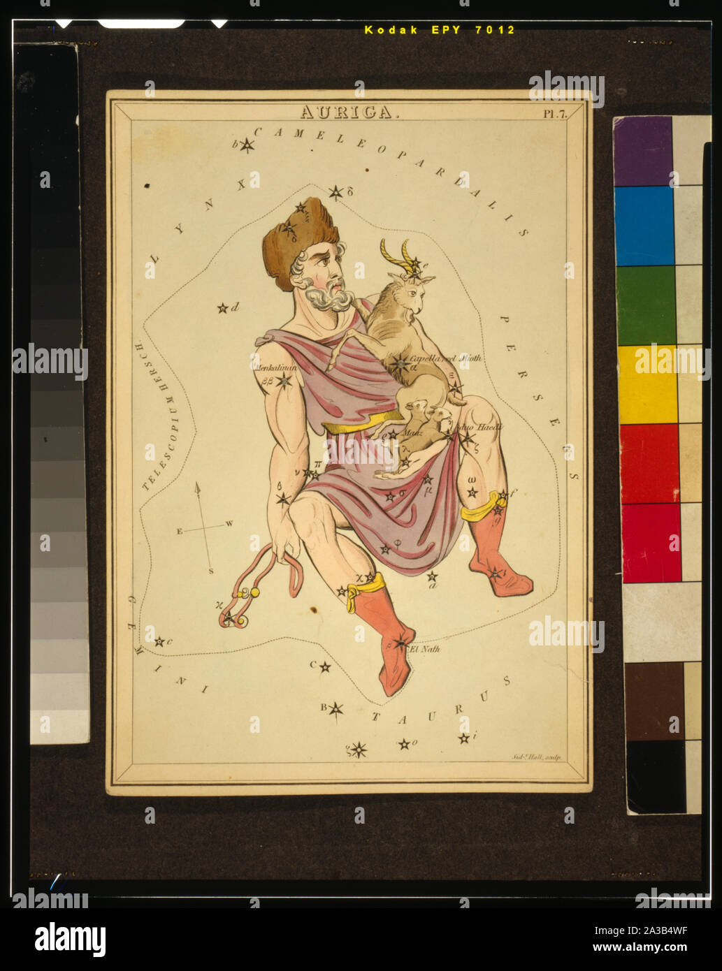 Auriga, plate 7 in Urania's Mirror, a set of celestial cards accompanied by A familiar treatise on astronomy ... by Jehoshaphat Aspin. London. Astronomical chart, 1 print on layered paper board : etching, hand-colored.; Stock Photo