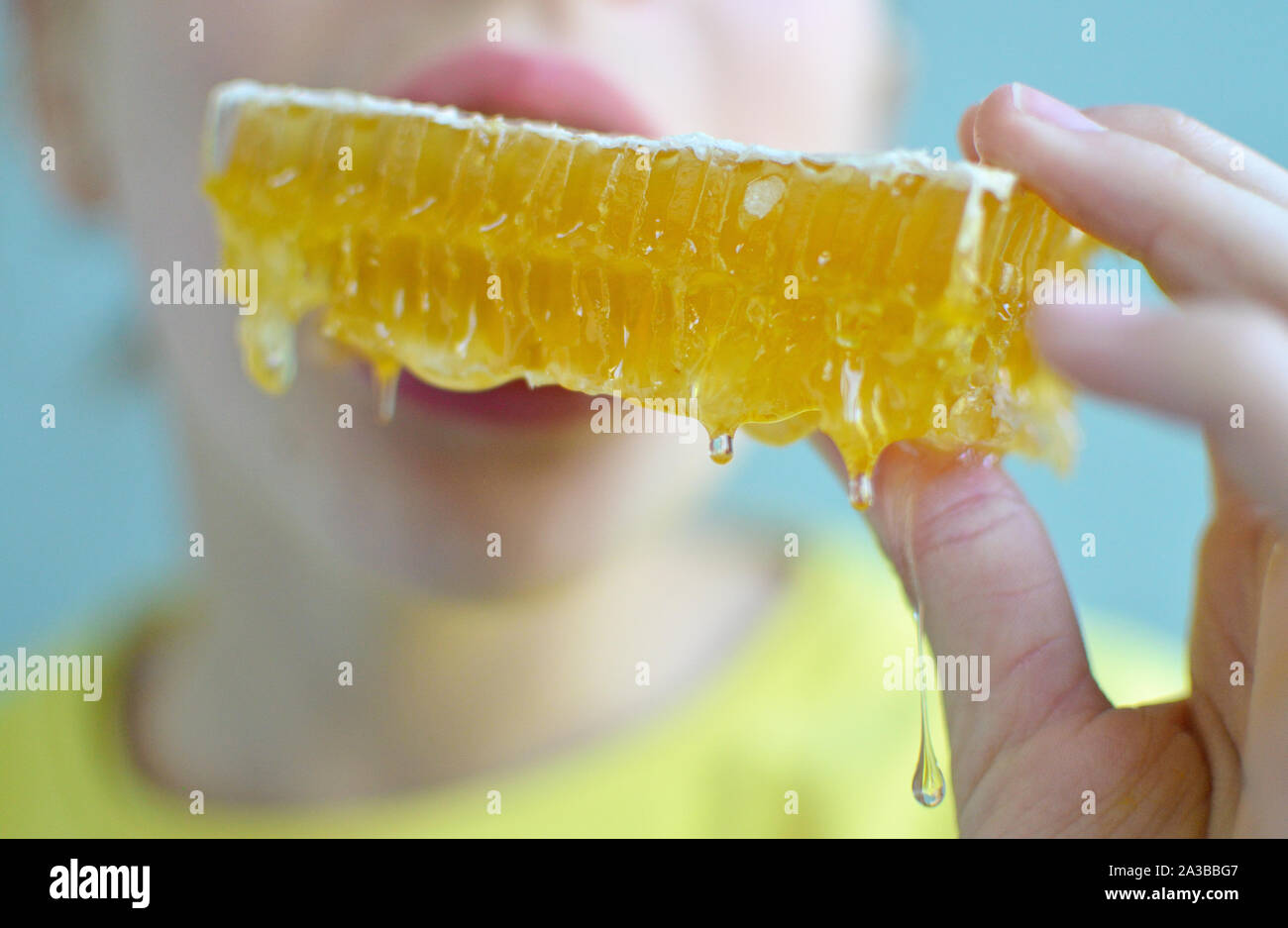 Girl biting honeycomb Stock Photo