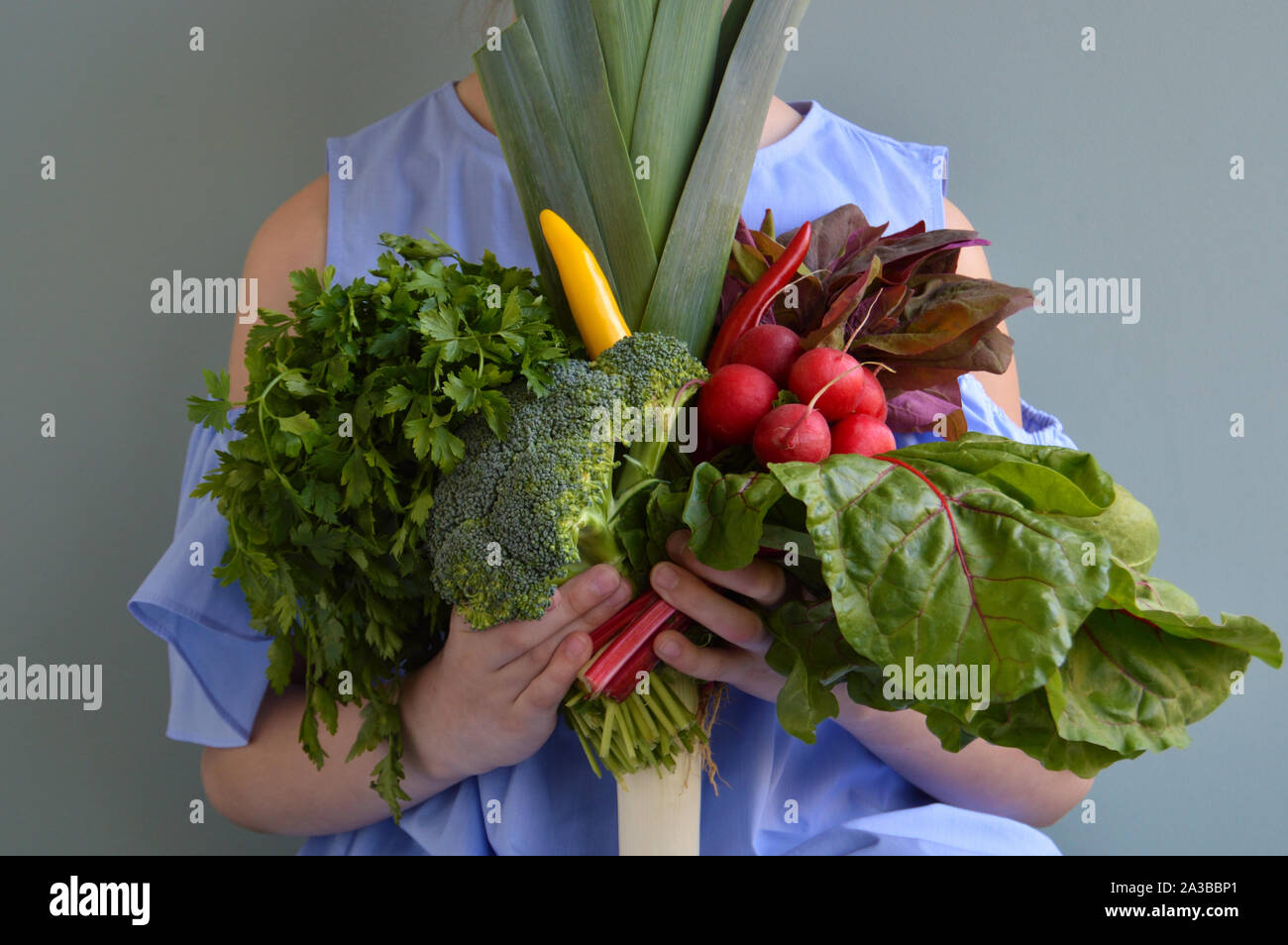 Girl holding vegetables bouquet Stock Photo