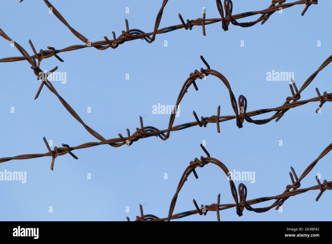 Barbed wire on fence on blue sky background Stock Photo - Alamy