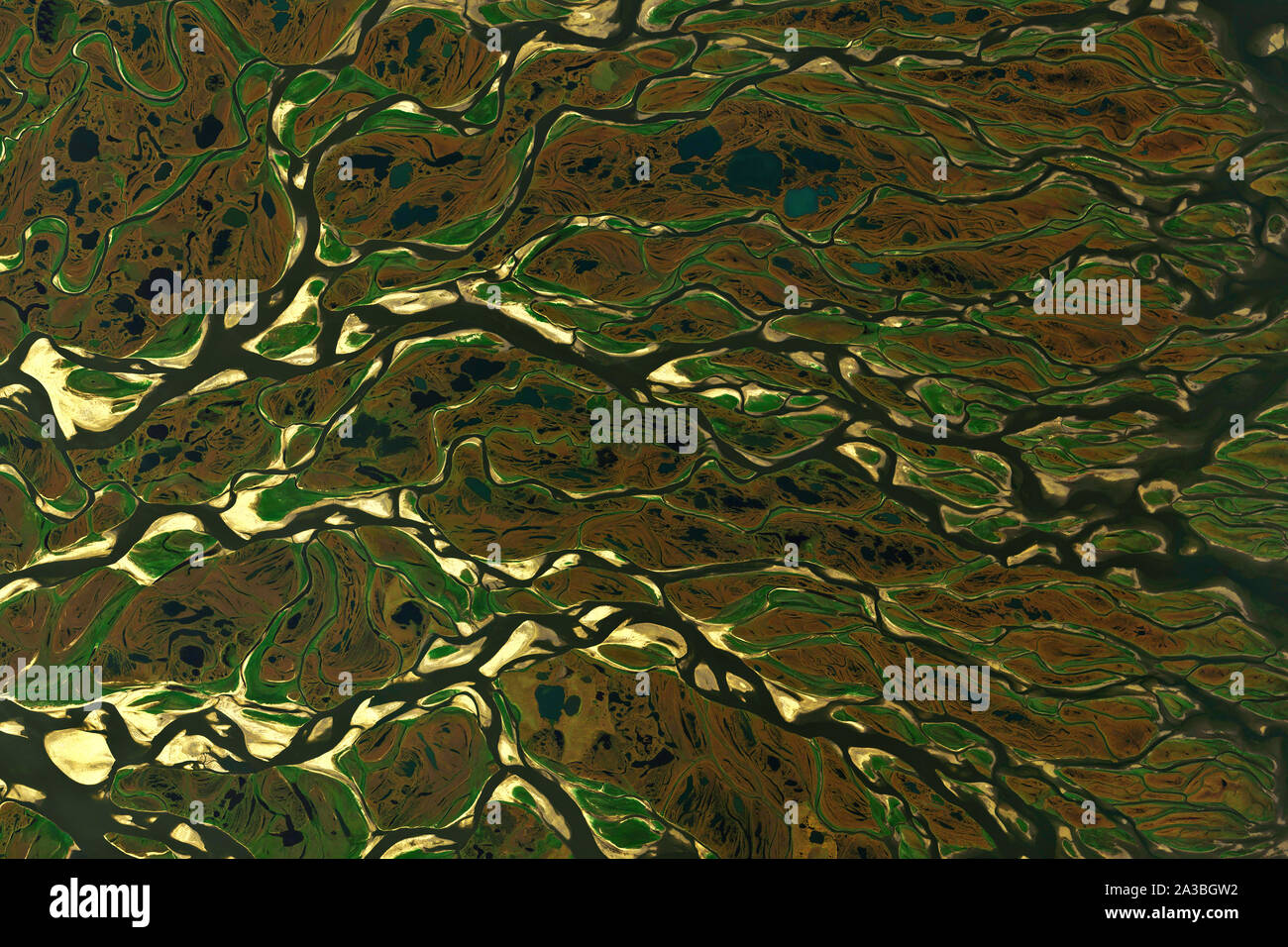 Lena river delta in Siberia, Russia seen from space - contains modified Copernicus Sentinel Data (2019) Stock Photo