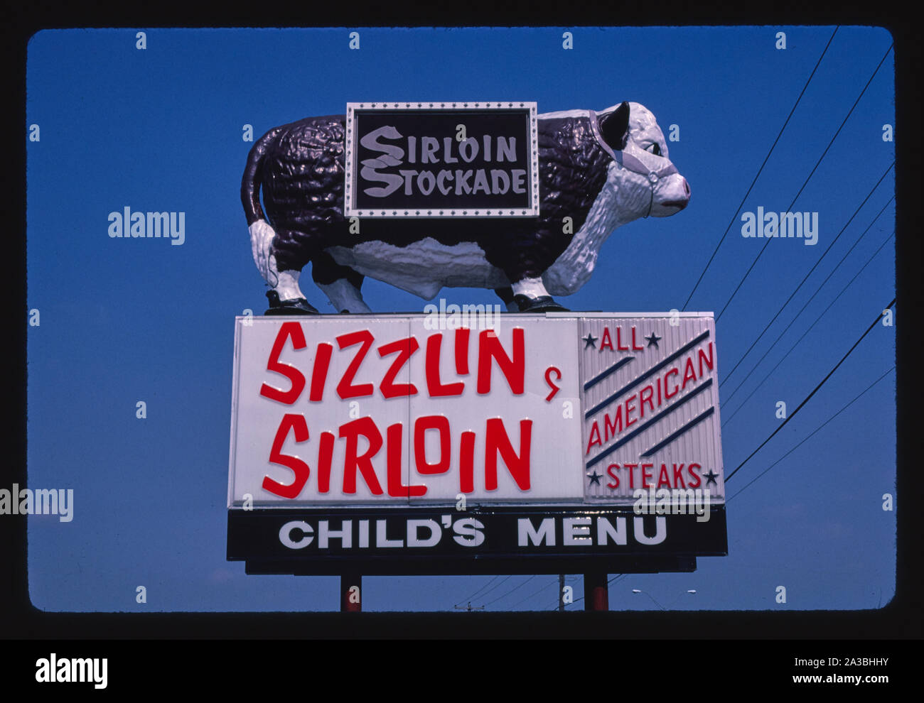 Sirloin Stockade bull, Austin, Texas Stock Photo Alamy