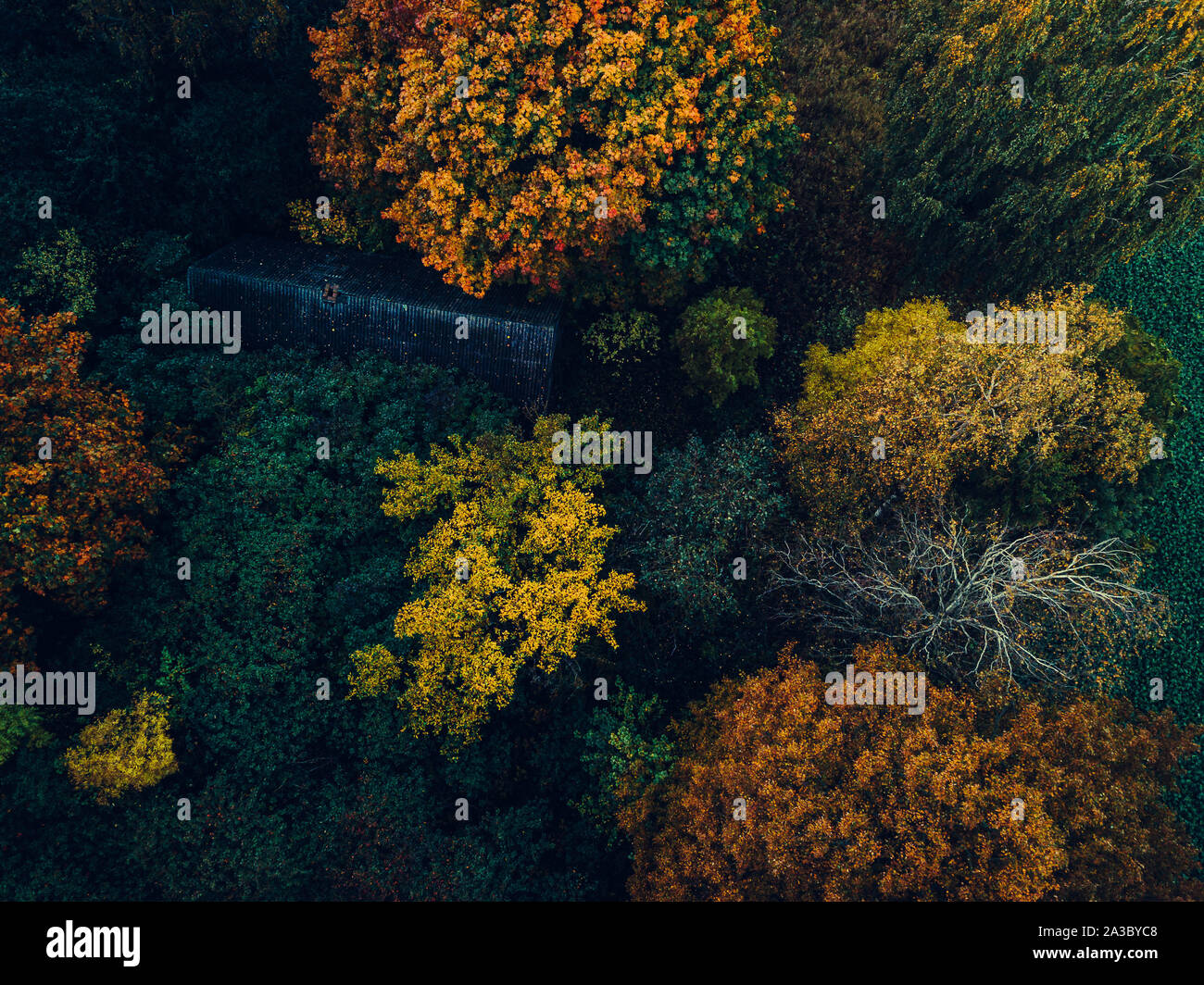 Top down autumn colors hi-res stock photography and images - Alamy