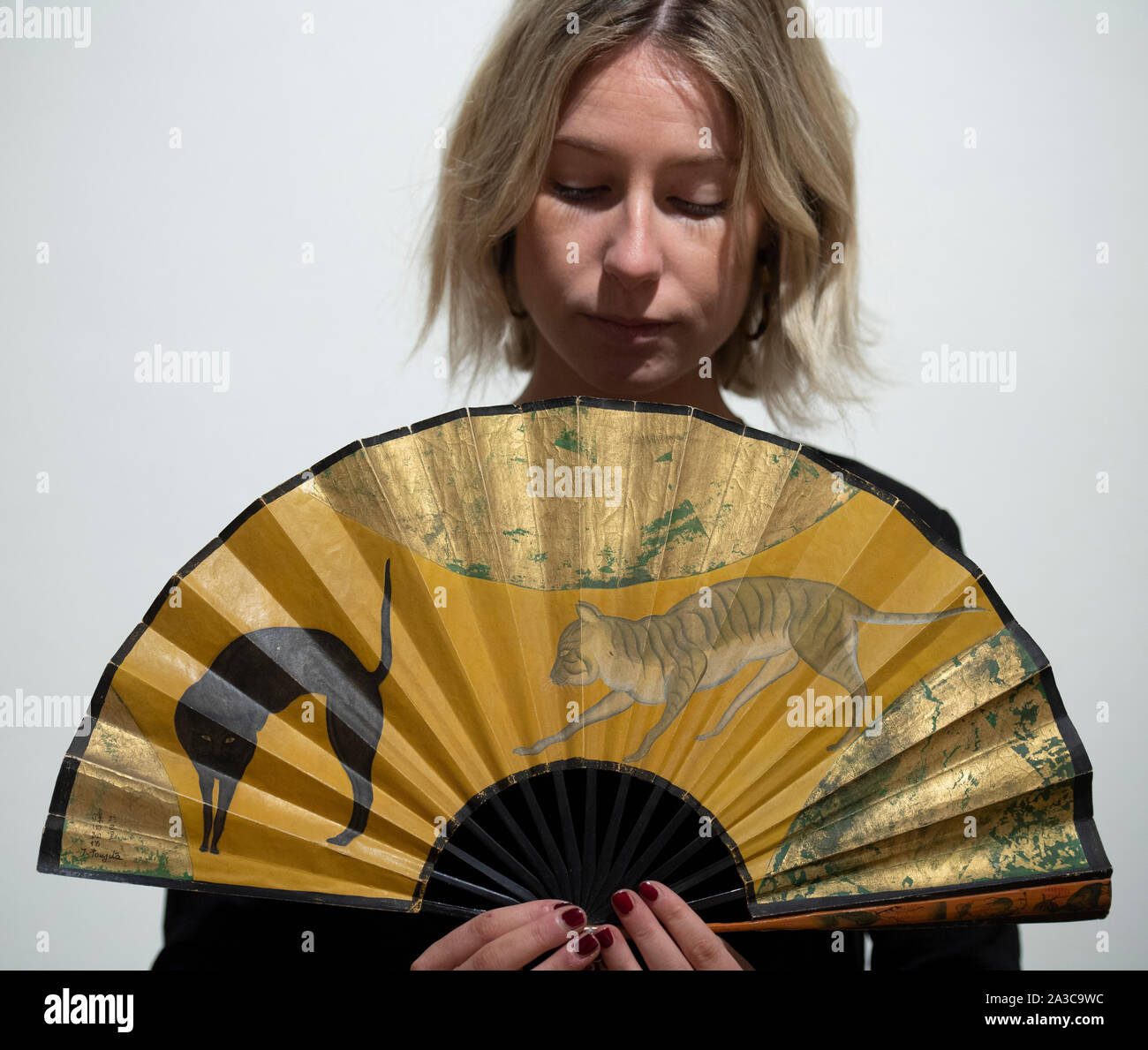 Chat Tigre High Resolution Stock Photography And Images Alamy
